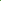 Bells of Ireland Flower Seed