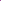 Picks Lilac Zinnia Seeds