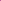 Hybrid Pink Zinnia Seeds