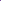 Dark Blue Larkspur Seed