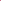 Easter Bonnet Deep Pink Sweet Alyssum Seeds